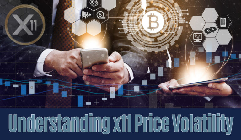 X11 Price Volatility: Causes, Consequences, and Coping Strategies