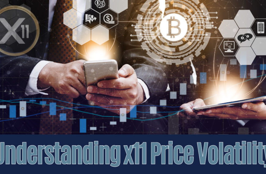 X11 Price Volatility Causes, Consequences, and Coping Strategies